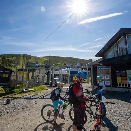 Dream By Geilo, Ski-in Ski-out With For The Whole Family Holiday home Geilo