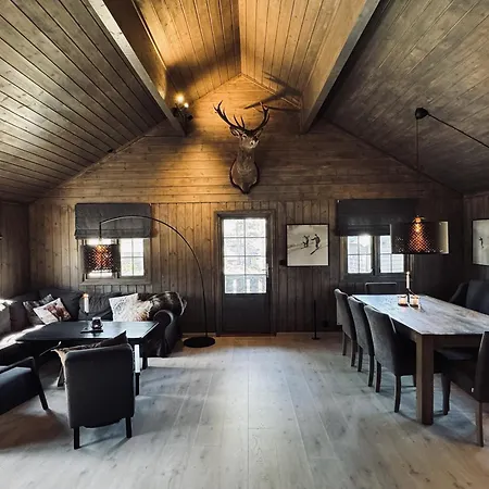 Dream By Geilo, Ski-in Ski-out With For The Whole Family Holiday home