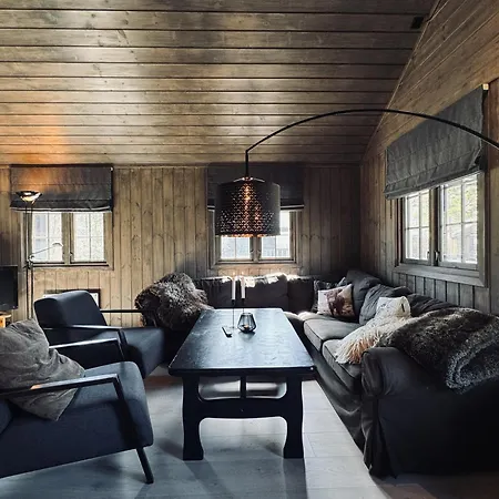 Dream By Geilo, Ski-in Ski-out With For The Whole Family Holiday home Geilo