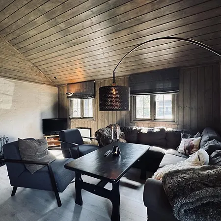 Dream By Geilo, Ski-in Ski-out With For The Whole Family Geilo