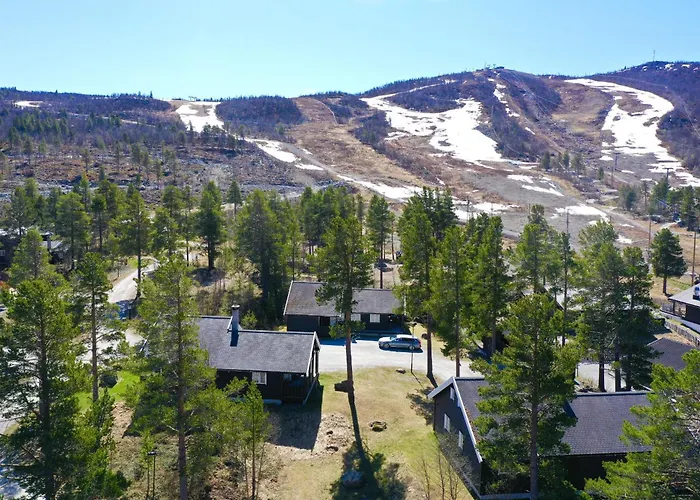 Dream By Geilo, Ski-in Ski-out With For The Whole Family Holiday home Geilo