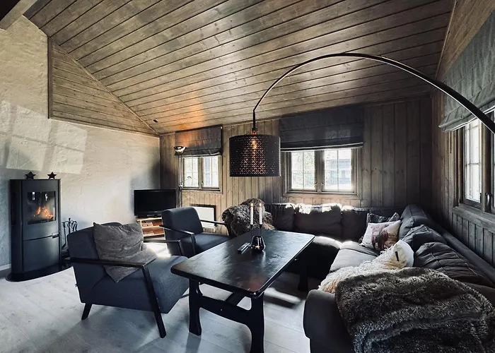 Dream By Geilo, Ski-in Ski-out With For The Whole Family Geilo
